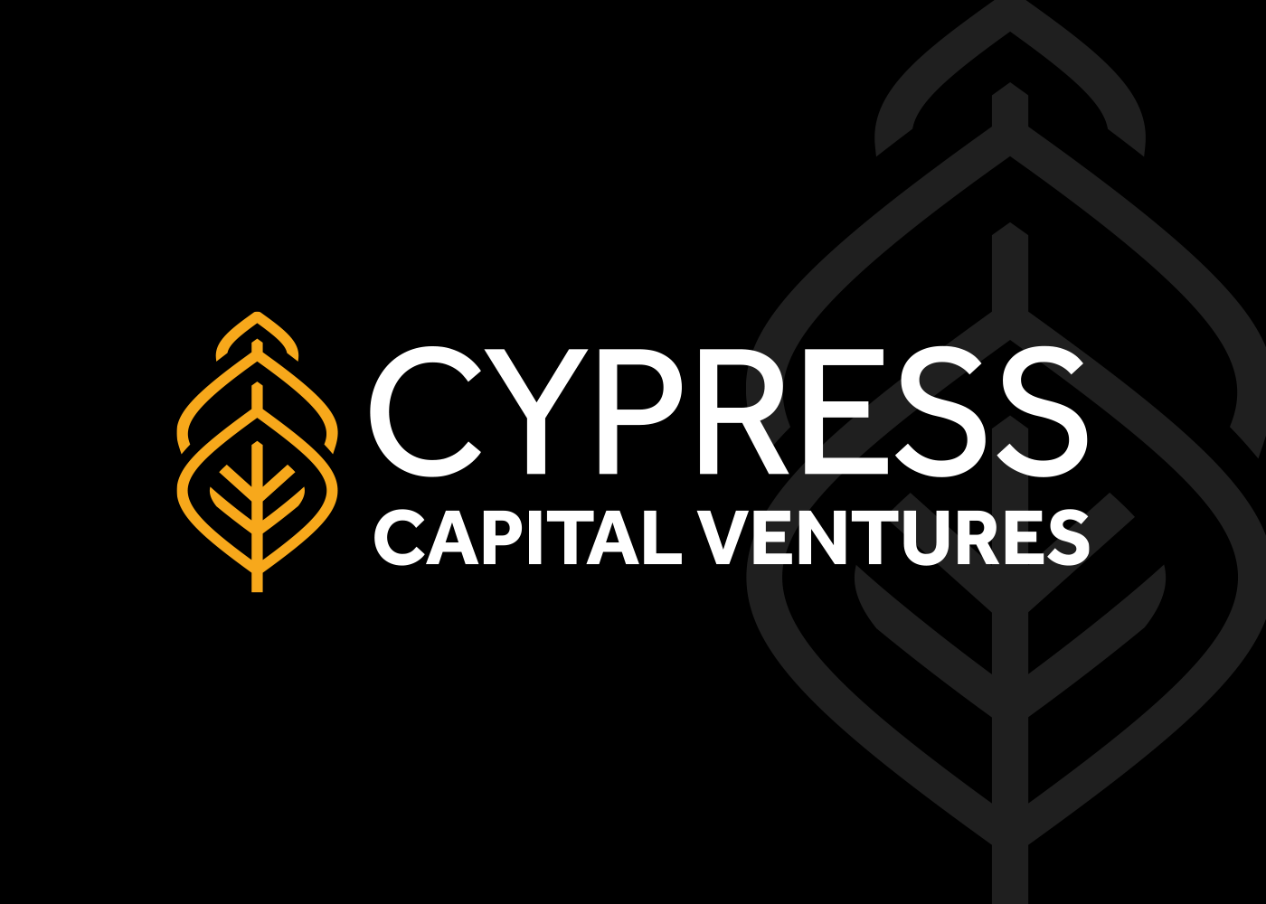 Logo design for Cypress Capital Ventures