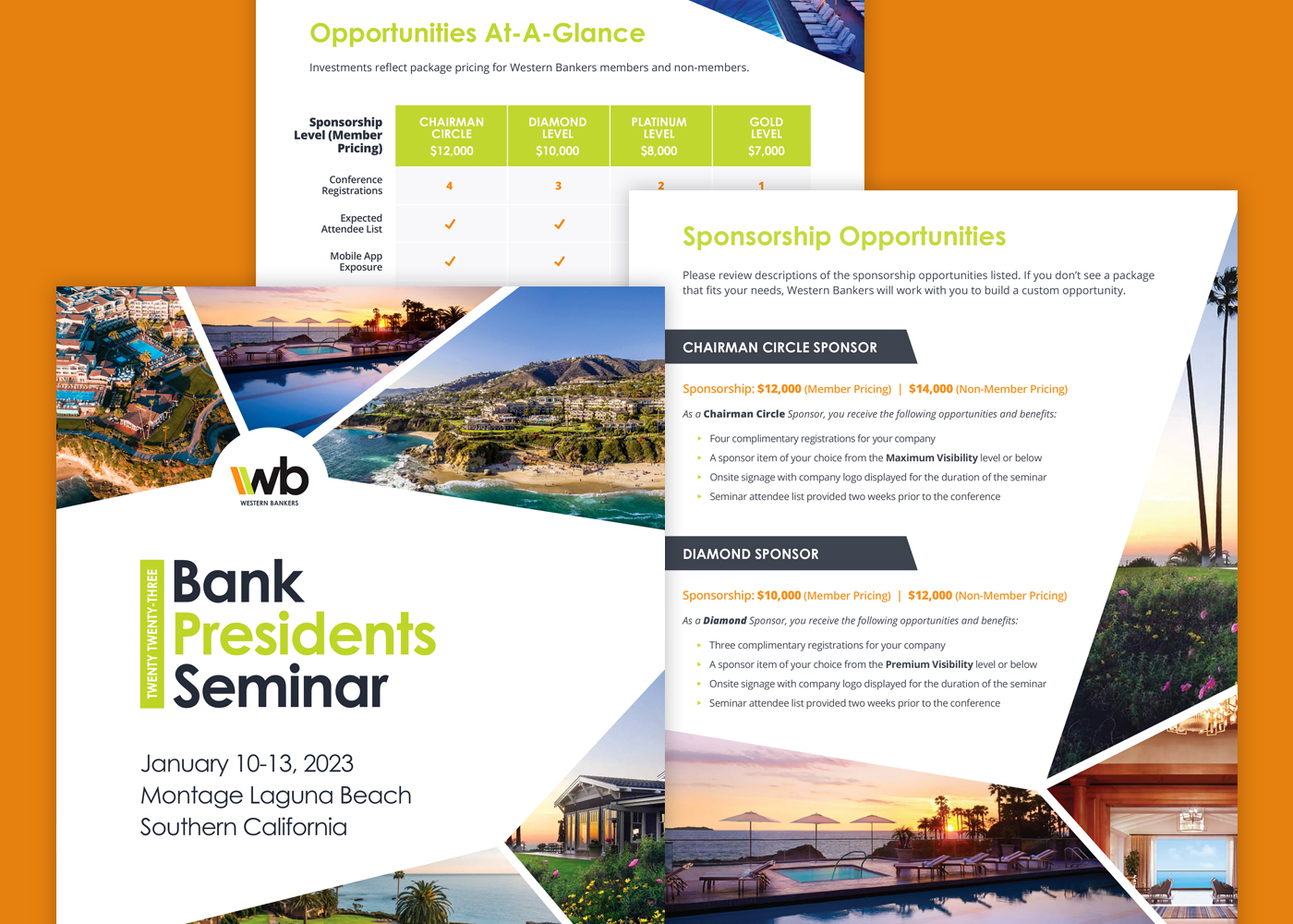 Sample business conference sponsor brochure and marketing materials design