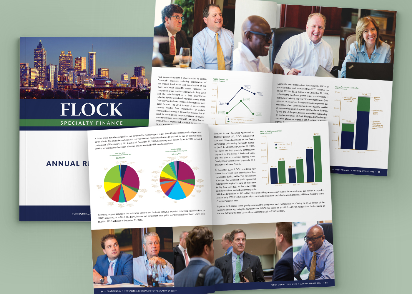 Sample annual report design
