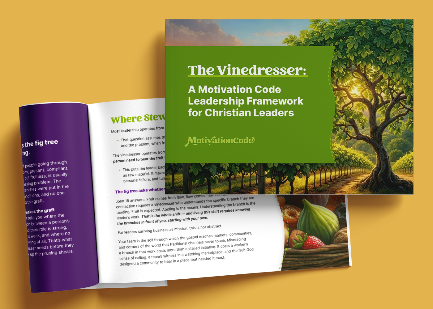 Sample marketing leave behind booklet design